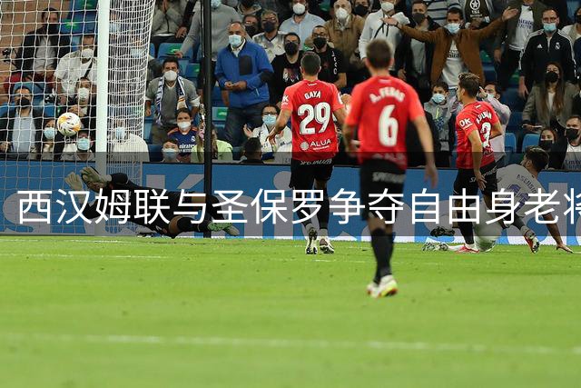 西汉姆联与圣保罗争夺自由身老将瓦尔迪