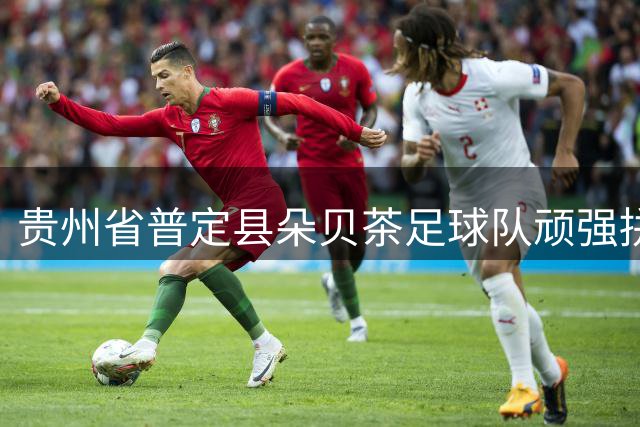 贵州省普定县朵贝茶足球队顽强拼搏成功晋级32强