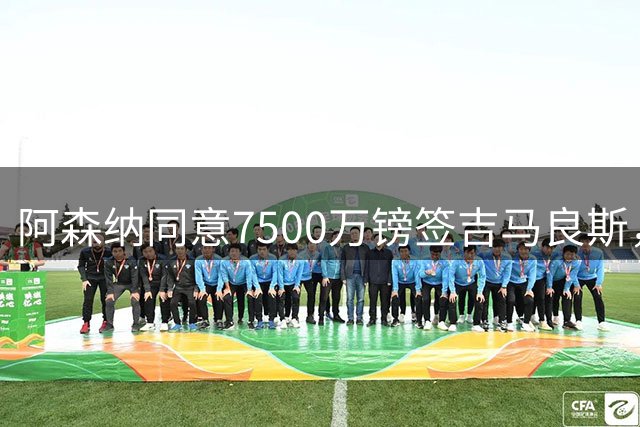 阿森纳同意7500万镑签吉马良斯，纽卡队长获准前往体检